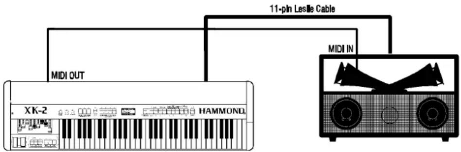 Hammond Leslie 2102 - ♦ Connecting to a single-channel Hammond Organ using the 11-pin receptacle - 1