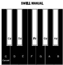 Hammond NEW C-3 - È Percussion - 5