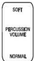 Hammond NEW C-3 - È Percussion - 2