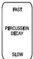 Hammond NEW C-3 - È Percussion - 3