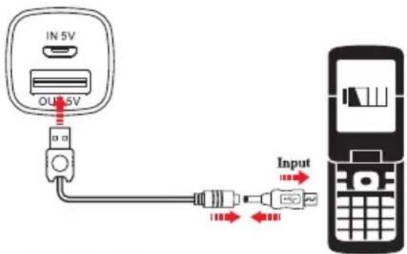 iconBIT FTB2600LED - USER MANUAL - 1
