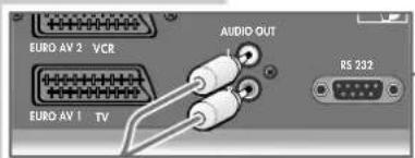 EURO AV 2 VCR AUDIO OUT EURO AV 1 TV RS 333