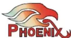 Phoenix Audio Duet PCS - THIS WARRANTY IS VOID IF: - 1