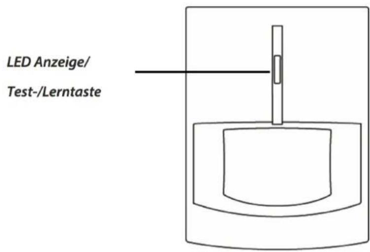 LED Anzeige/ Test-/Lerntaste