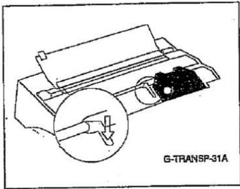 G-TRANSP-31A