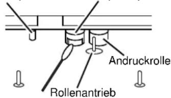 Andruckrolle Rollenantrieb