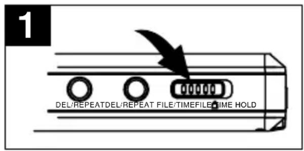 1 DEL/REPEATDEL/REPEAT FILE/TIMEFILE TIME HOLD