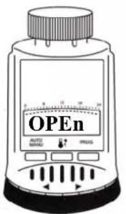OPEn AUTO PROS PROS
