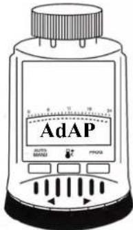 AdAP ADAPT BANANA PROG 0 10 20 30