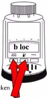 b loc ALPHA REDISH PHASE ken