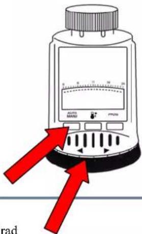 HONEYWELL HR 20 - Konstante Temperaturregelung (Urlaub) - 2