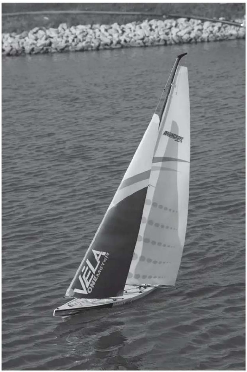 Hobbico VELA ONEmeter - NATIONAL ORGANIZATION - 1