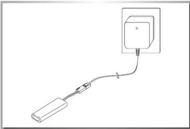 Carson Micro Rapscallion - Anleitung - 1