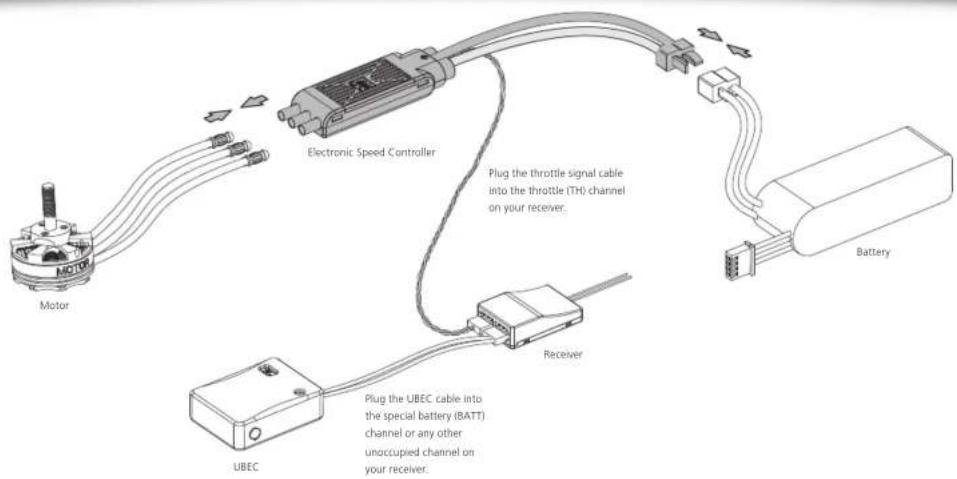 Hobbywing HW30902040 - Motor Wiring - 1
