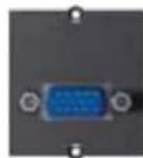 Bachmann 336.039 - Custom Modul 1x VGA - 13