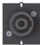 Bachmann 336.039 - Custom Modul 1x Speakon 2-pol. + Klinke 6,3mm Stereo - 5