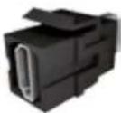 Bachmann 336.039 - Custom Modul 1x DVI-I - 2