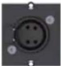 Bachmann 336.039 - Custom Modul 1x XLR Buchse 3-polig - 2