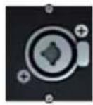 Bachmann 916.000 - Custom Modul Combo Serie 1x XLR Buchse 3-polig + 1x Klinke Buchse 6,3mm Schwarz - 2