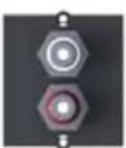 Bachmann 317.102 - Custom Modul 1x TV / Radio Schwarz - 1