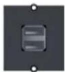 Bachmann 916.003 - Custom Modul 1x USB 3.0 A / A Keystone Schwarz - 1