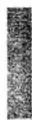 Elba ECM-6150 - Environment friendly disposal - 2