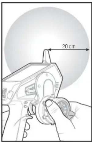 20 cm