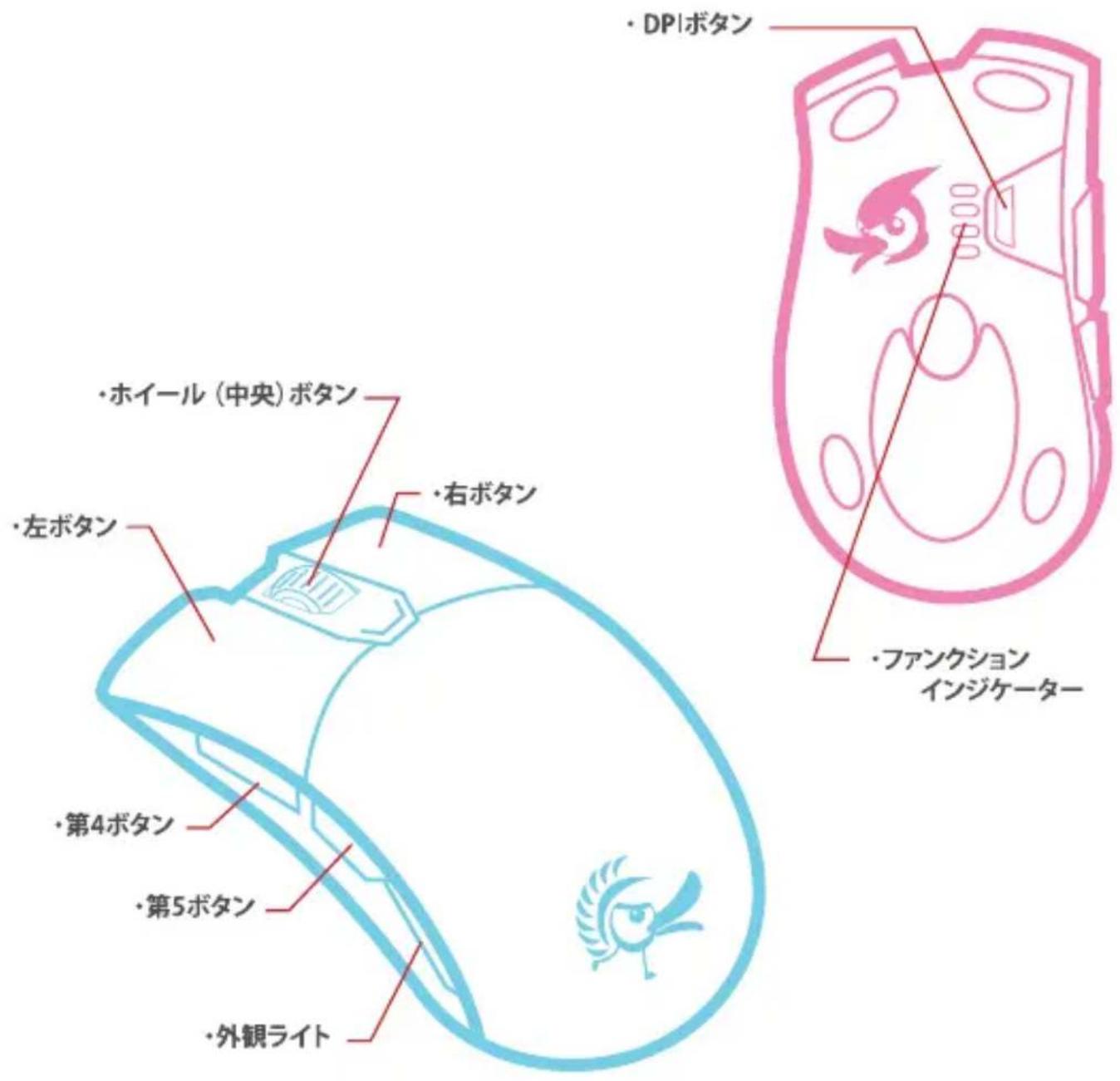 Ducky Secret M - SECRET - 4
