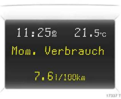 OPEL Antara (2006) - Board-Info-Display \*, Bordcomputer \* - 1