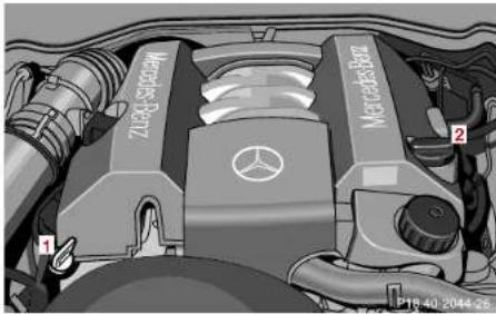 Mercedes-Benz E430 (2000) - Checking engine oil level - 1