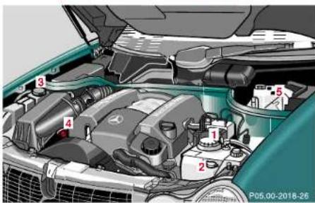 Mercedes-Benz E430 (2000) - Bulbs - 1