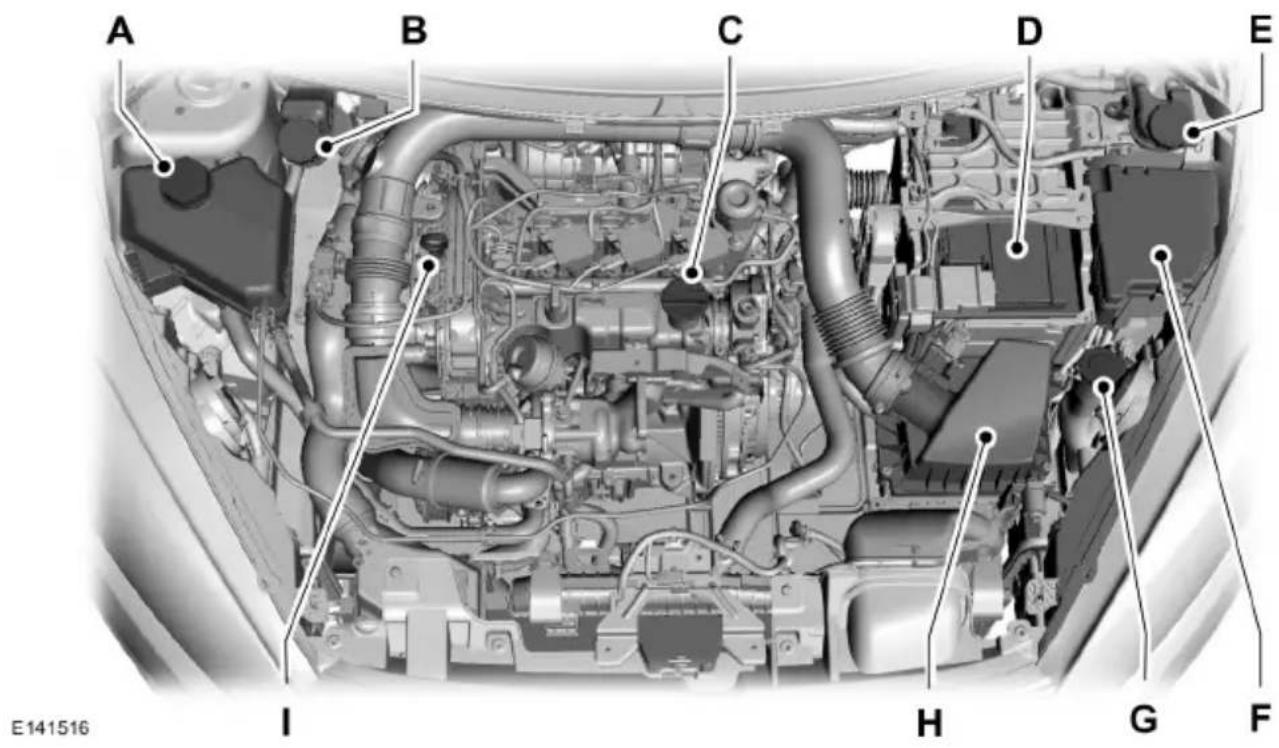 FORD B-Max (2015) - Schließen der Motorhaube - 1