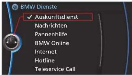 BMW X1 (2009) - BMW TeleServices\* - 1