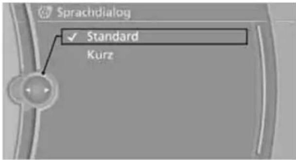 BMW Z4 sDrive 23i (2009) - Sprachdialog einstellen - 1