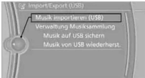 BMW Z4 sDrive 23i (2009) - Von USB-Medium speichern - 1
