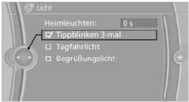 BMW 740Li (2008) - Tippblinken - 1