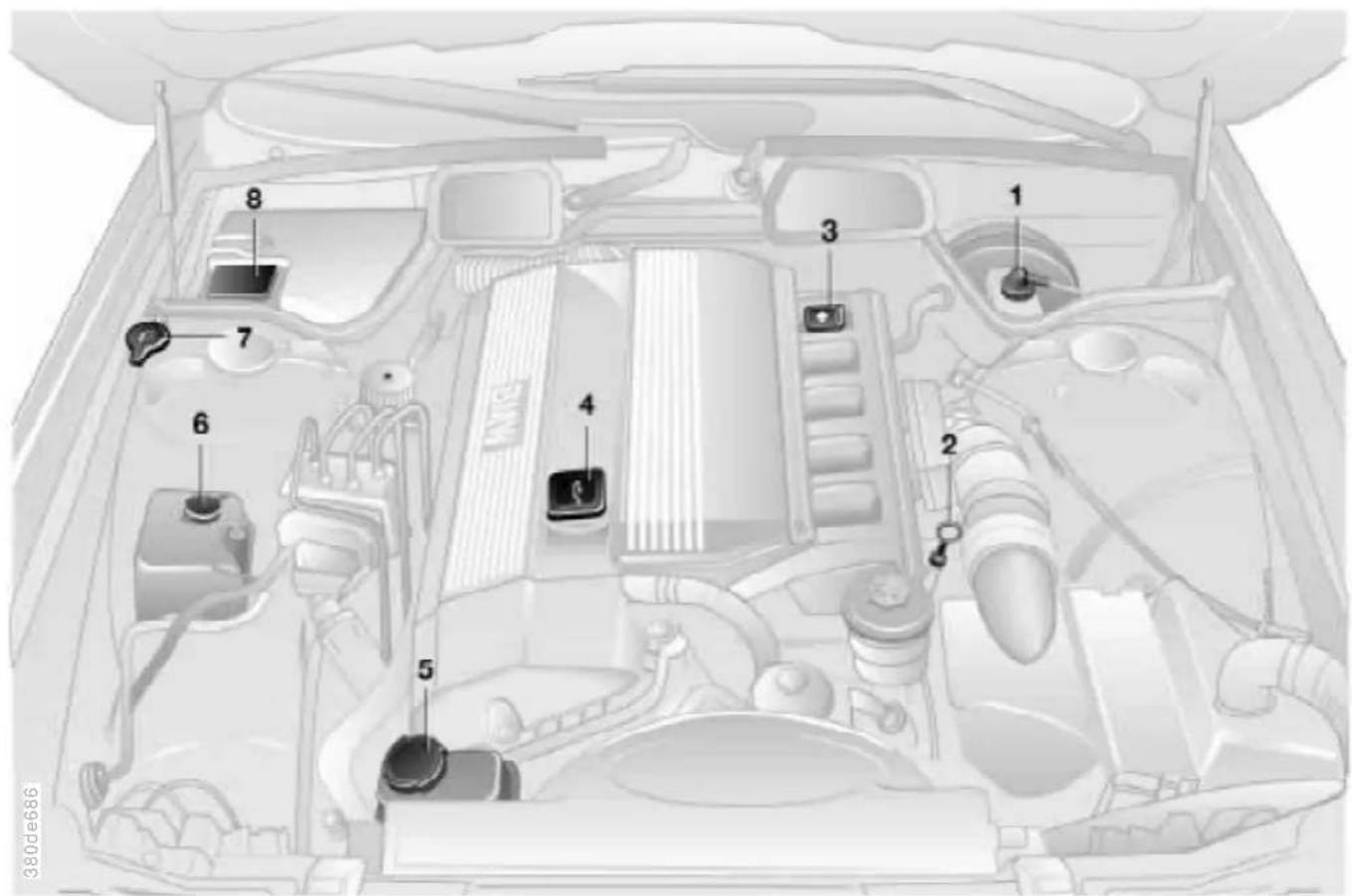 BMW 735i (1999) - Motorhaube - 6