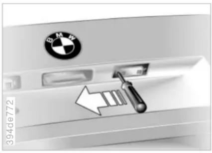 BMW 535i (2001) - Lampen und Leuchten Fernbedienung für Standheizung\* - 1