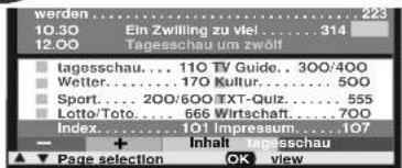 LOEWE Planus 4663 Z - Other functions for selecting pages - 2