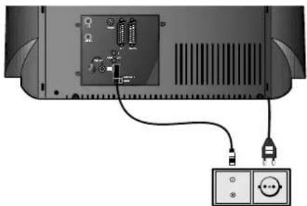 LOEWE Planus 4663 Z - Antennae - 1