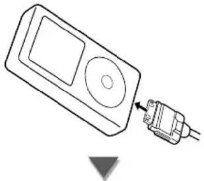 KENWOOD KVT-829DVD - Anschließen eines iPod - 1
