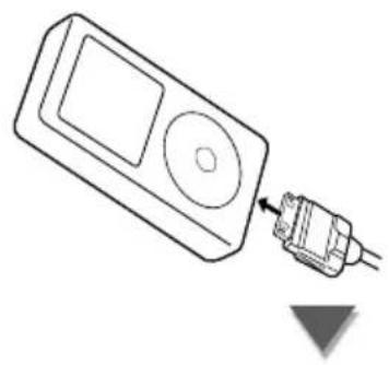 KENWOOD DDX54 - Anschließen eines iPod - 1