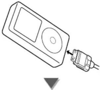 KENWOOD DDX7029 - Anschließen eines iPod - 1