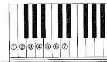 KAWAI MR170 - •Procedure - 1