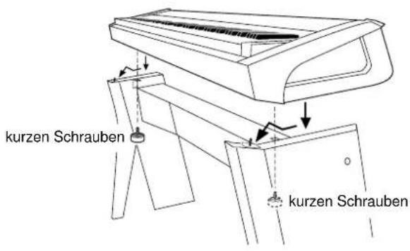kurzen Schrauben kurzen Schrauben