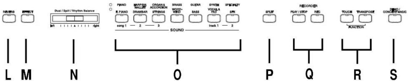 KAWAI CP95 - DEMO/CONCERT MAGIC Taste (S) - 1