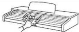 KAWAI CP95 - Stellen Sie das Instrument nicht an folgenden Plätzen auf. - 2
