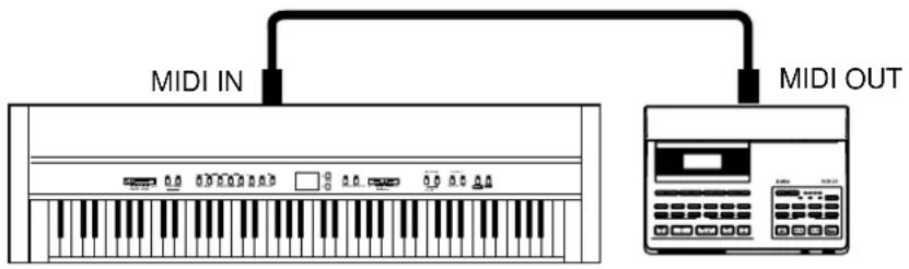 MIDI IN MIDI OUT