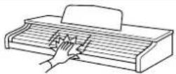 KAWAI CN470 - Stellen Sie das Instrument nicht an folgenden Plätzen auf. - 2