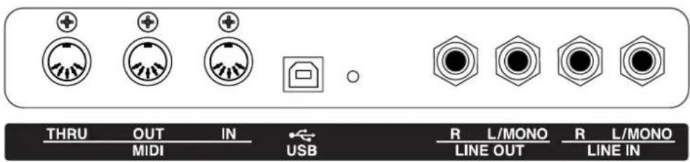 THRU OUT IN MIDI USB R L/MONO R L/MONO LINE OUT LINE IN